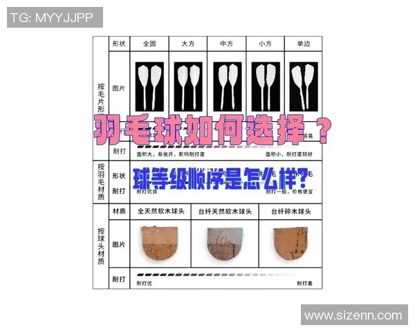 羽毛球赛事观众入场须知及注意事项全面指南 羽毛球赛事观众入场须知及注意事项全面指南